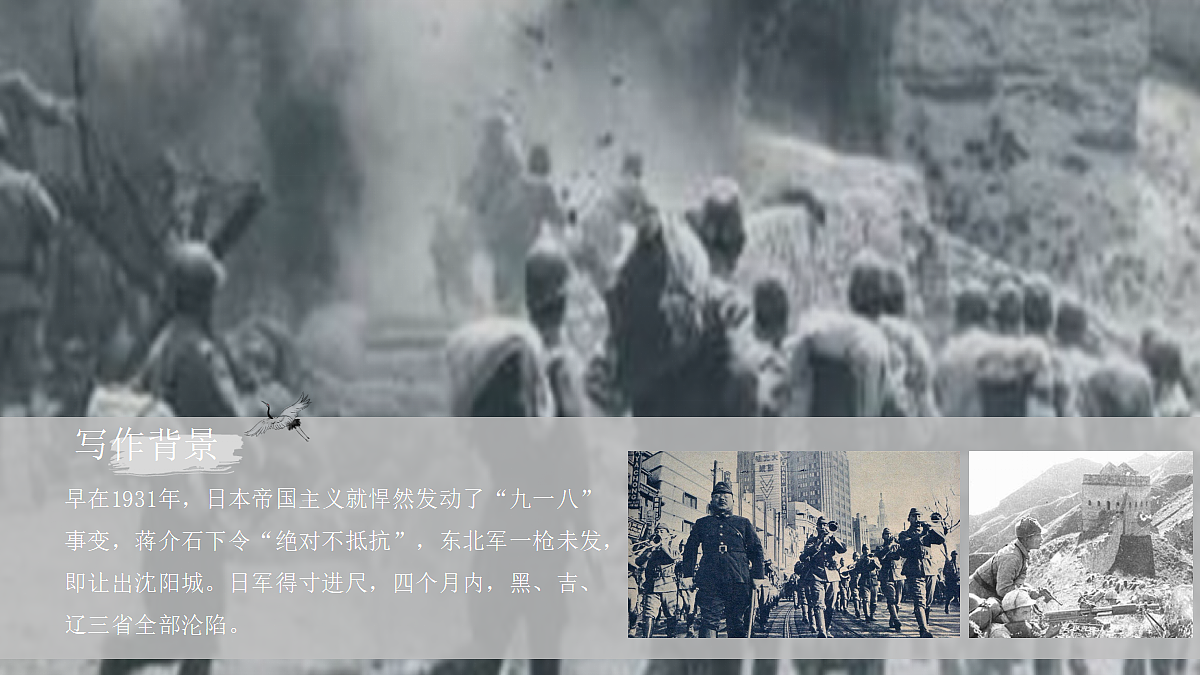 17287828第3页