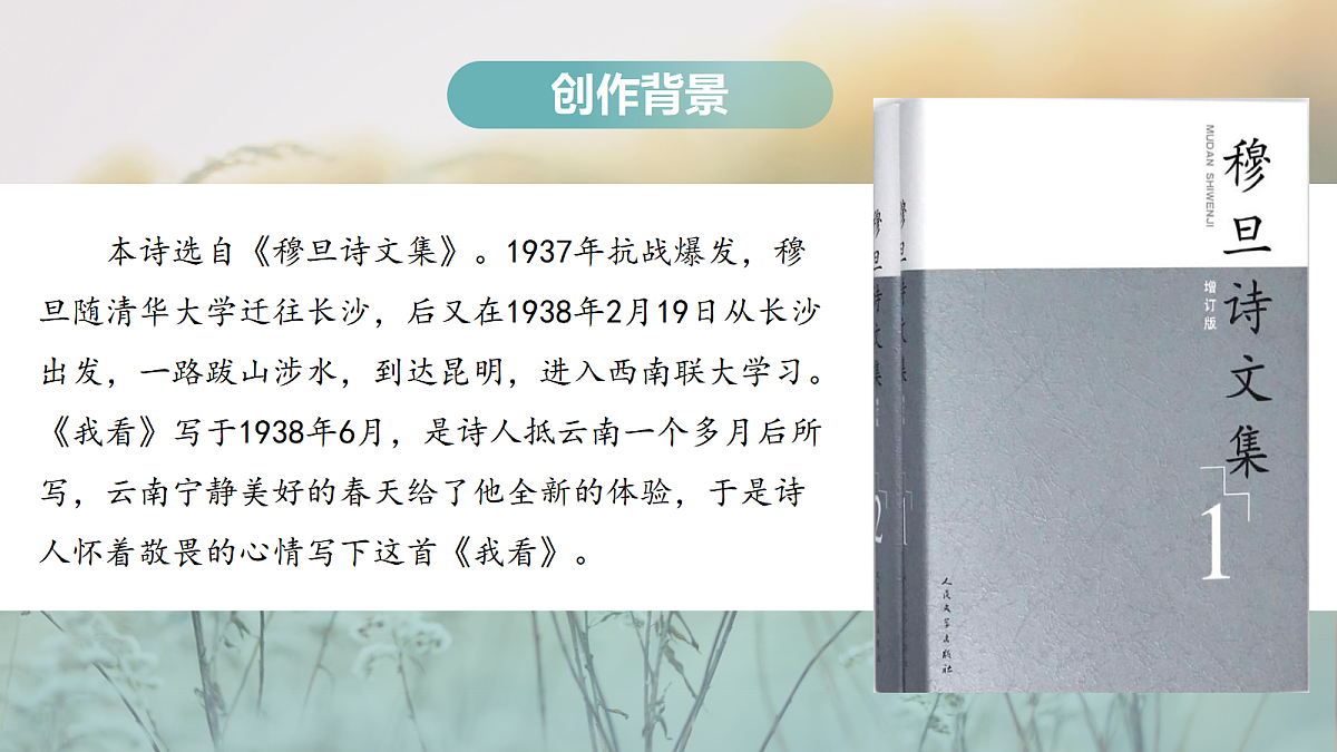 17287830第4页