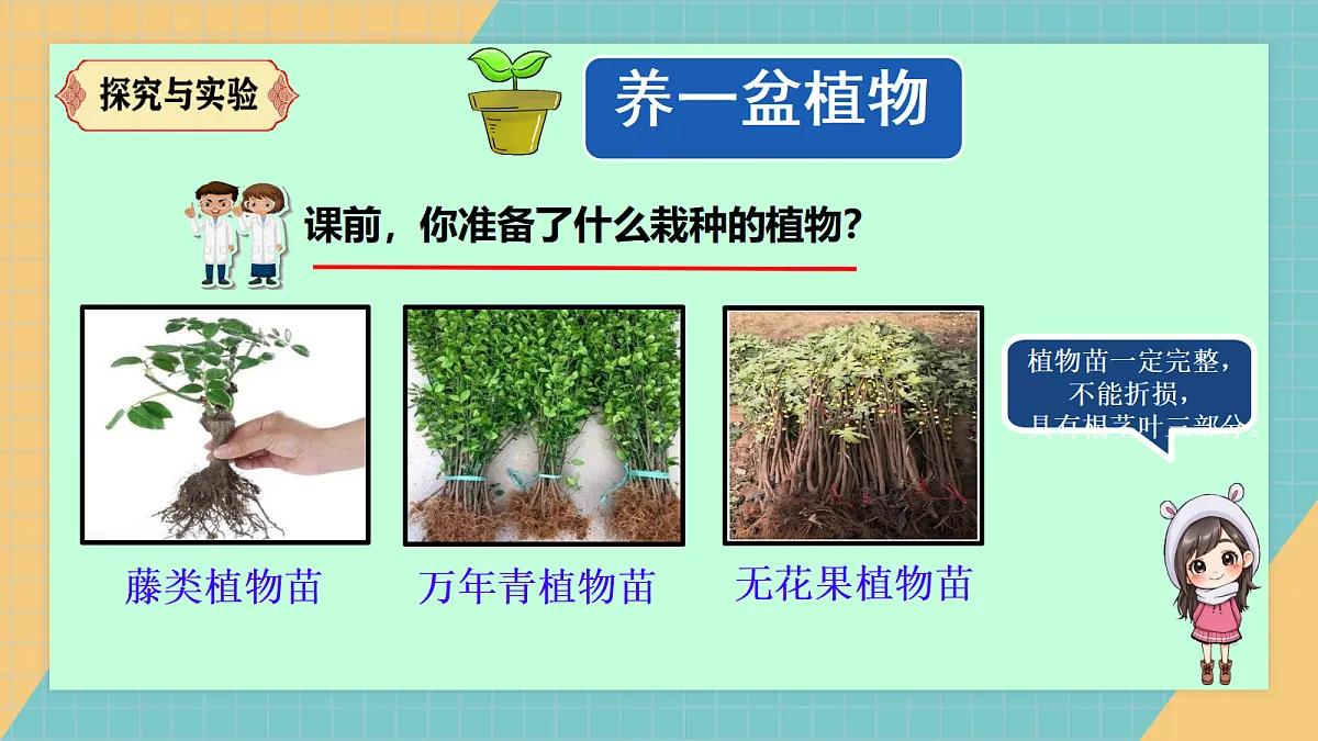17287885第5页