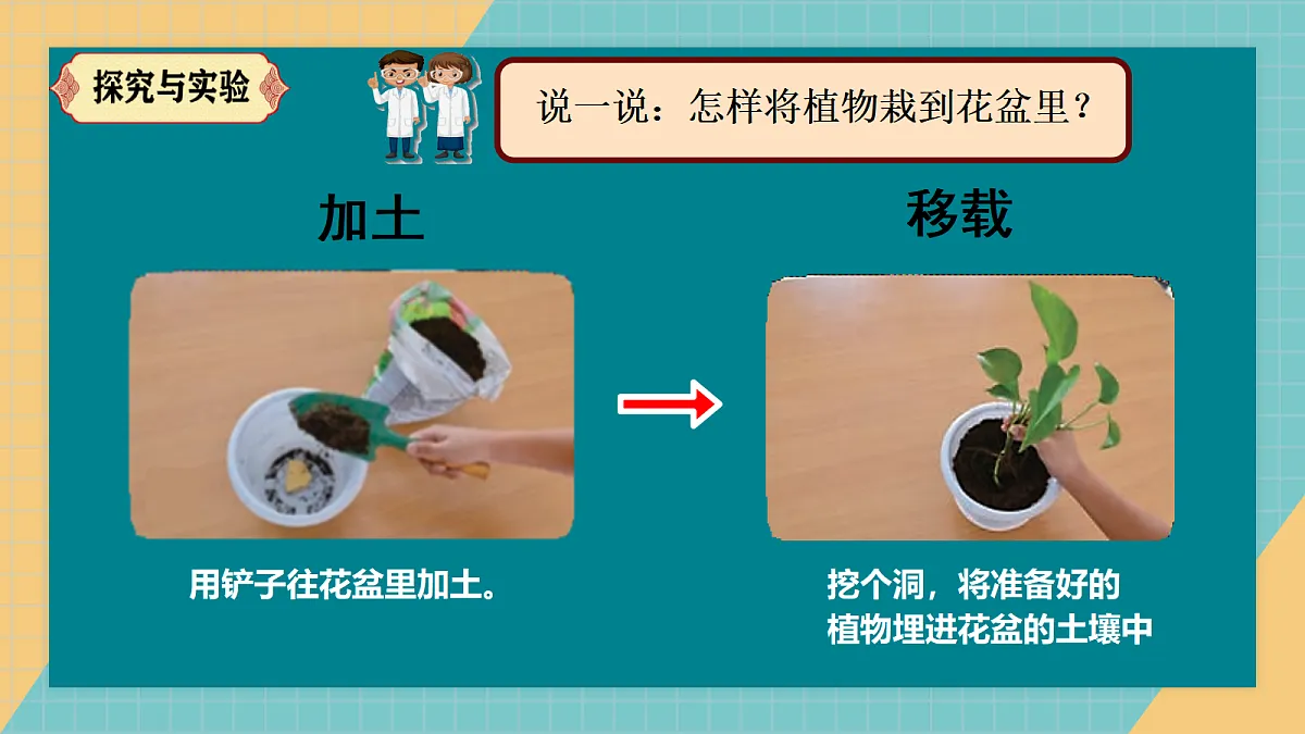 17287885第7页