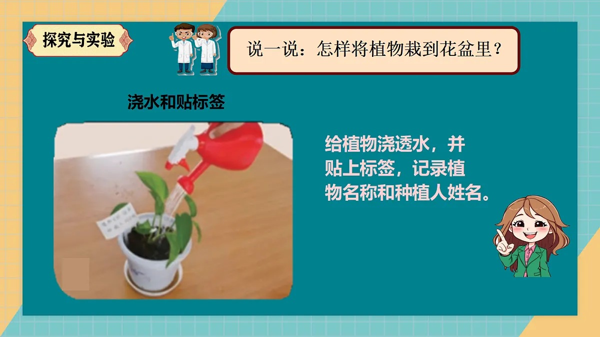 17287885第8页