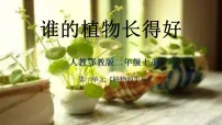 小学科学人教鄂教版（2024）二年级上册（2024）2. 谁的植物长得好优秀课件ppt