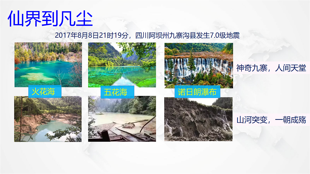17288158第3页