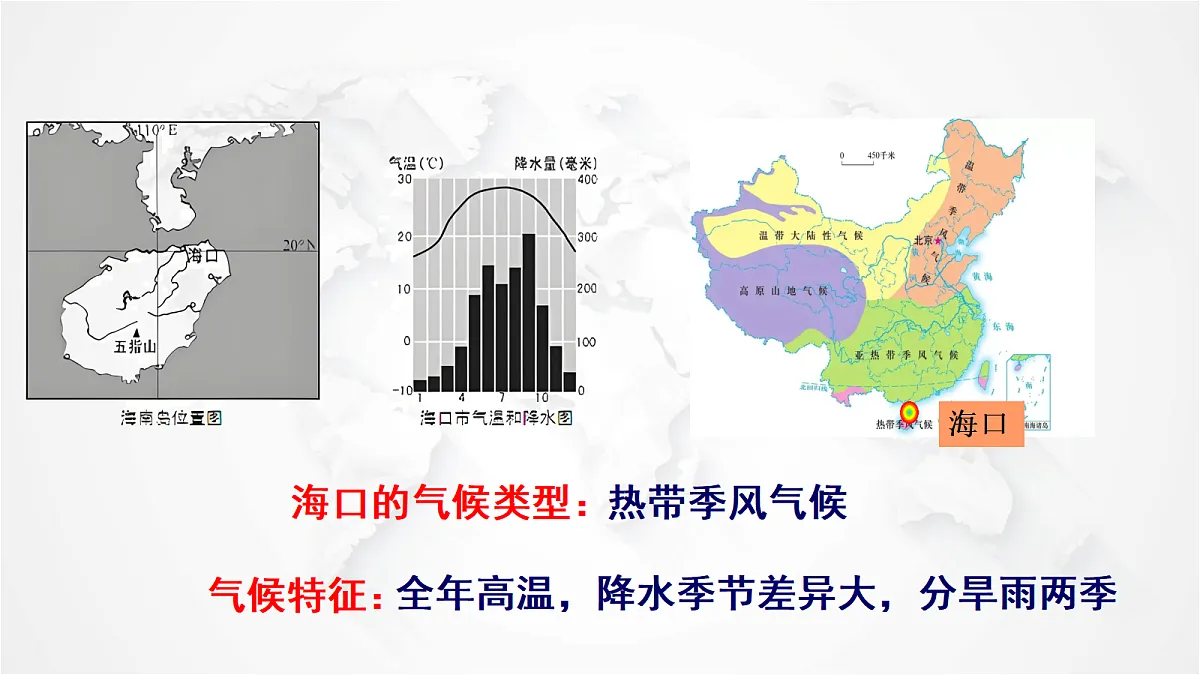 17288161第3页
