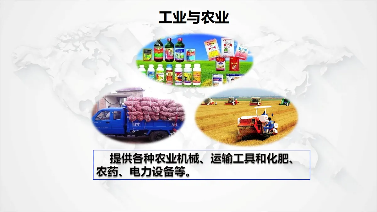 17288168第6页