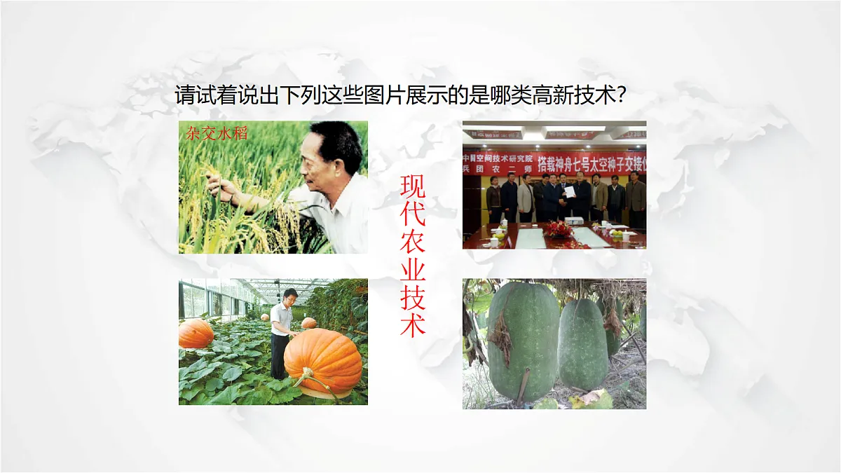 17288169第7页