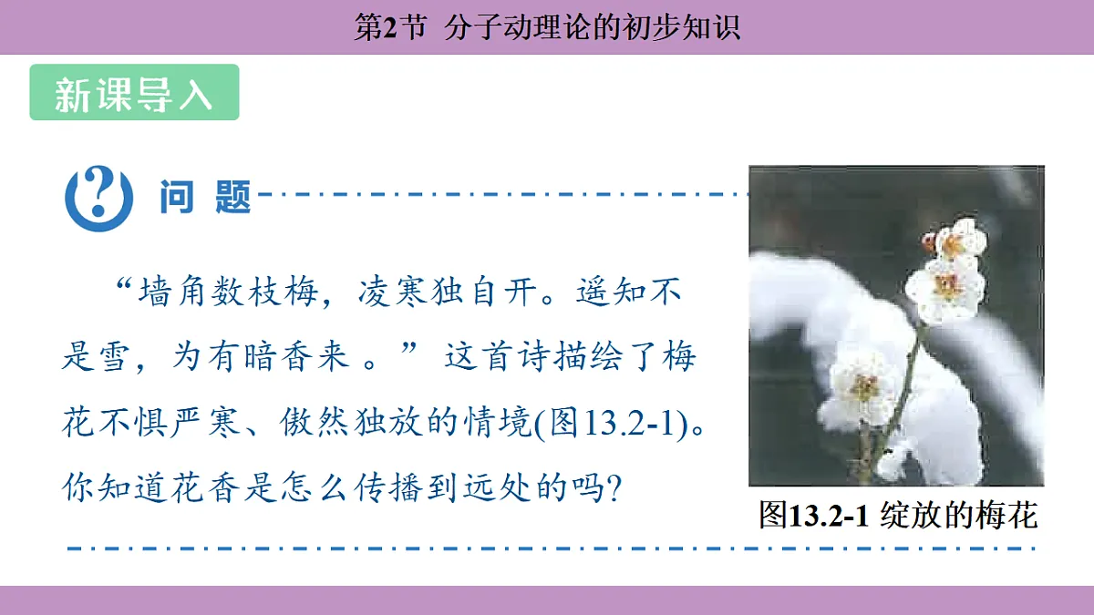 17288660第3页