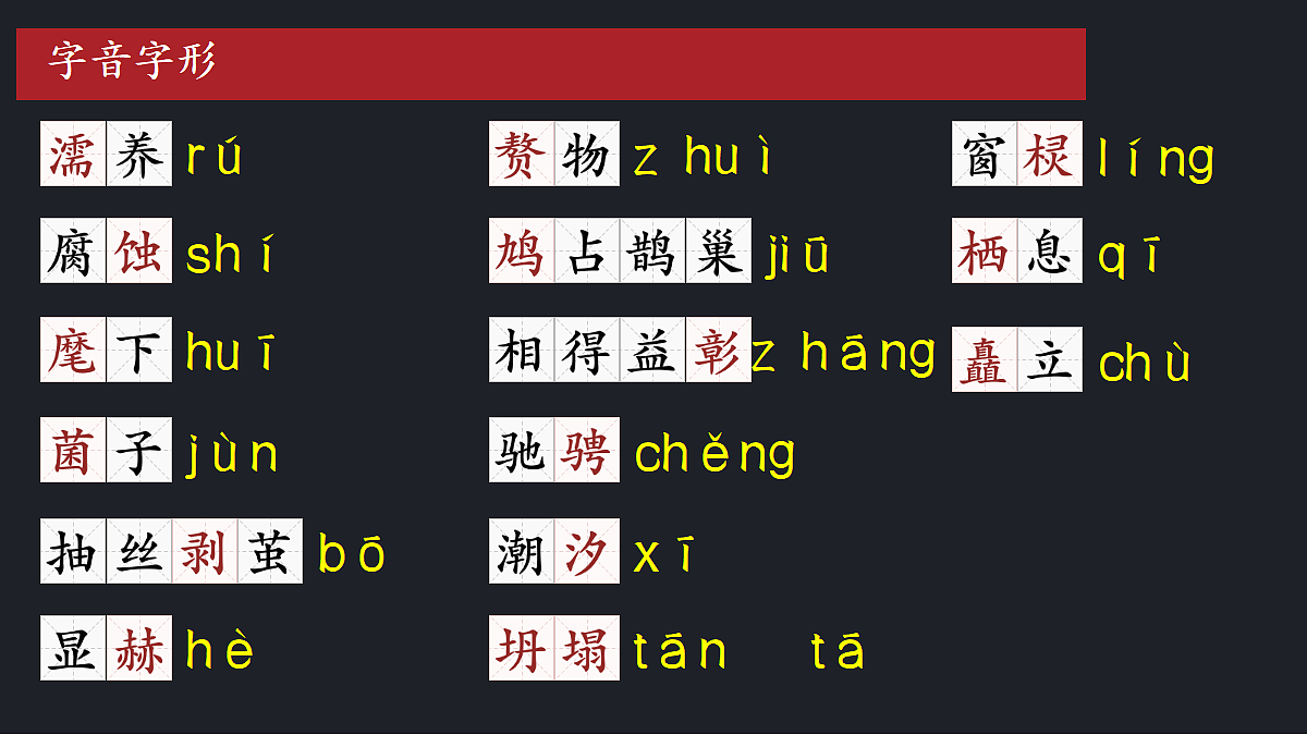 17288736第3页