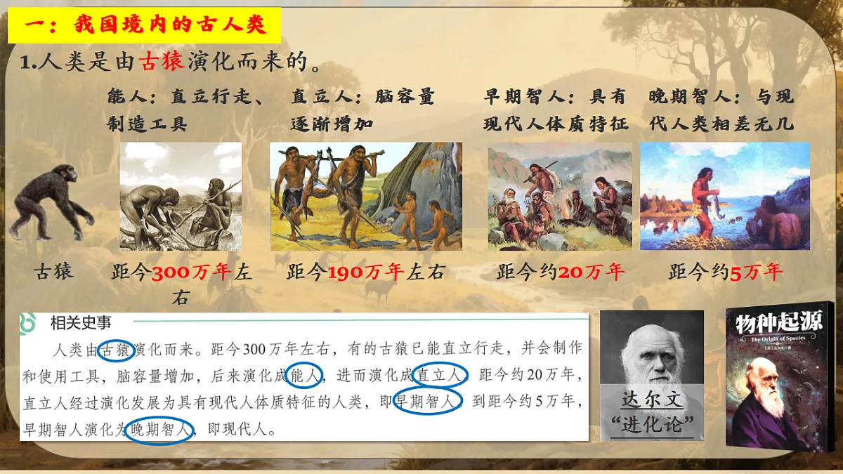 17288740第5页