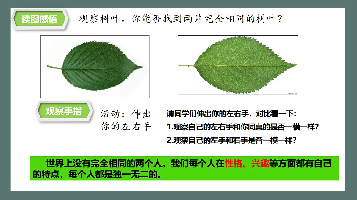 17288766第5页