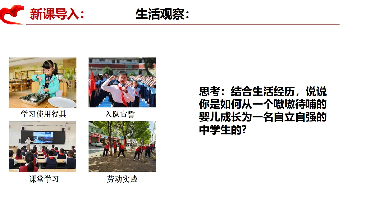 17288773第3页