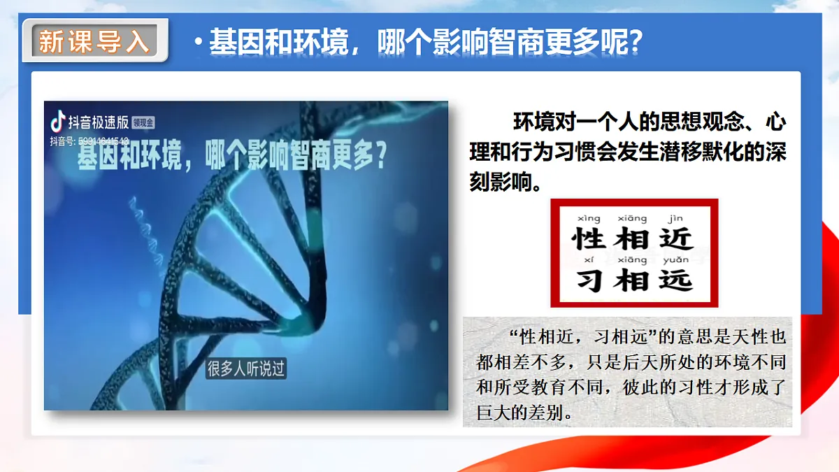 17288773第4页