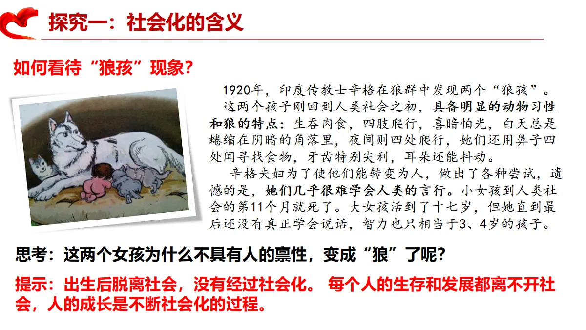 17288773第8页