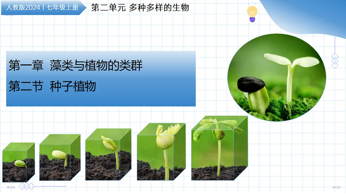 17288775第1页