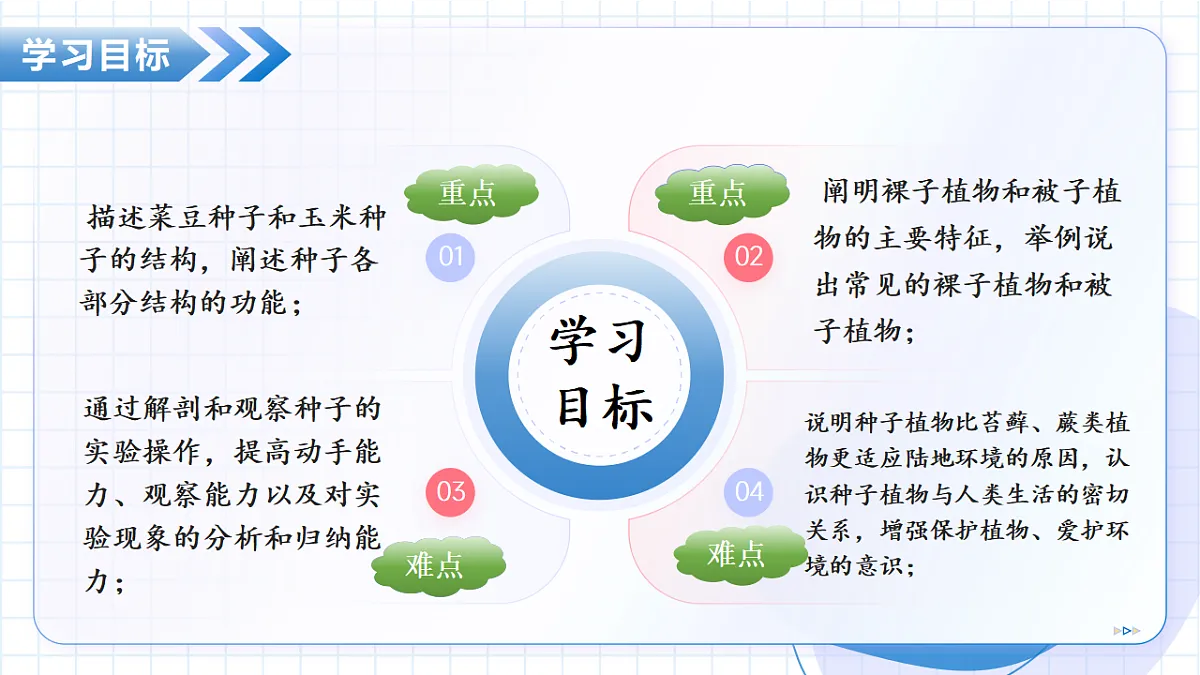 17288775第3页