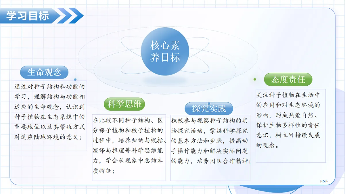 17288775第4页