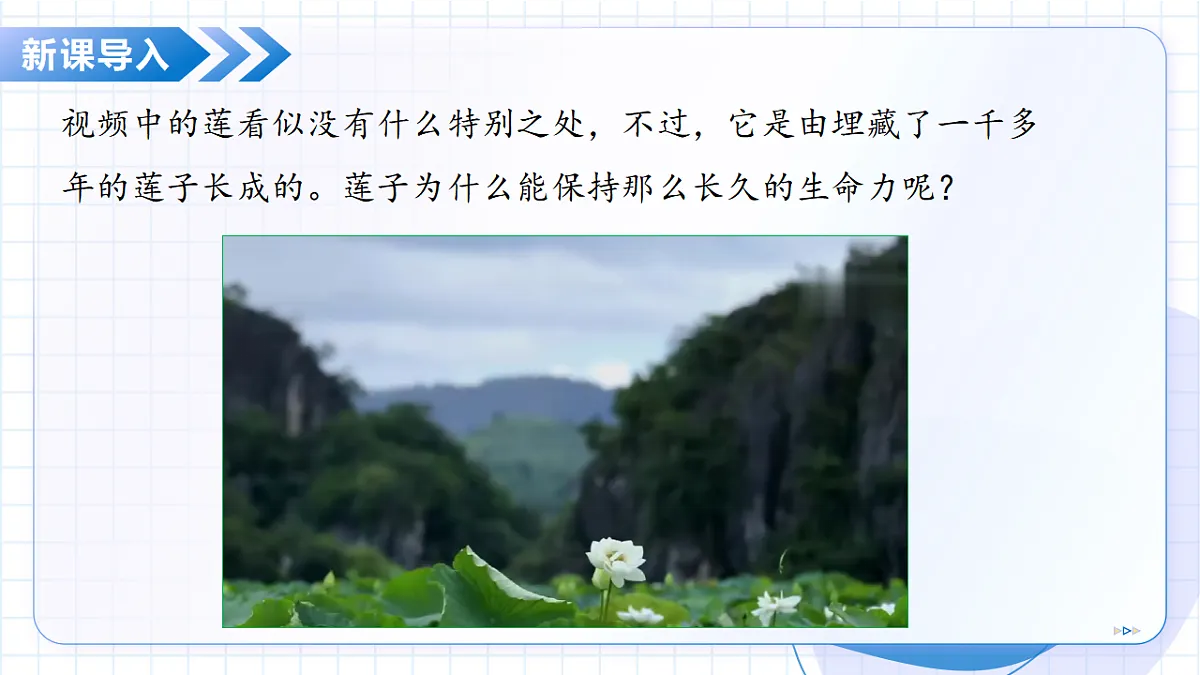 17288775第5页