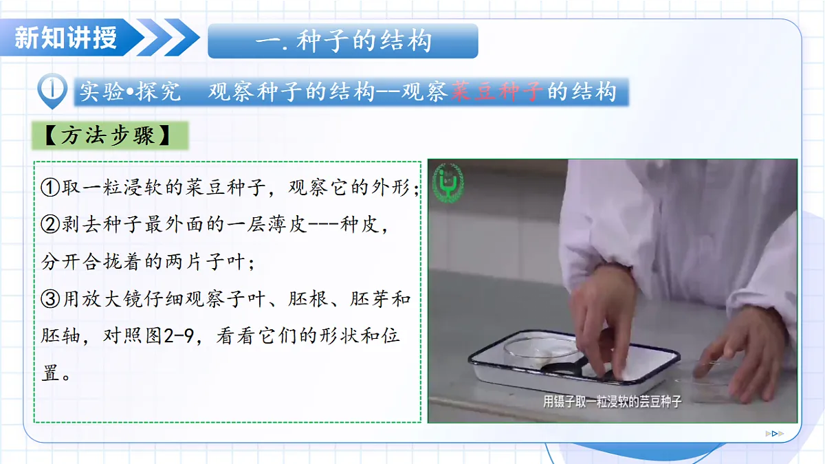 17288775第7页