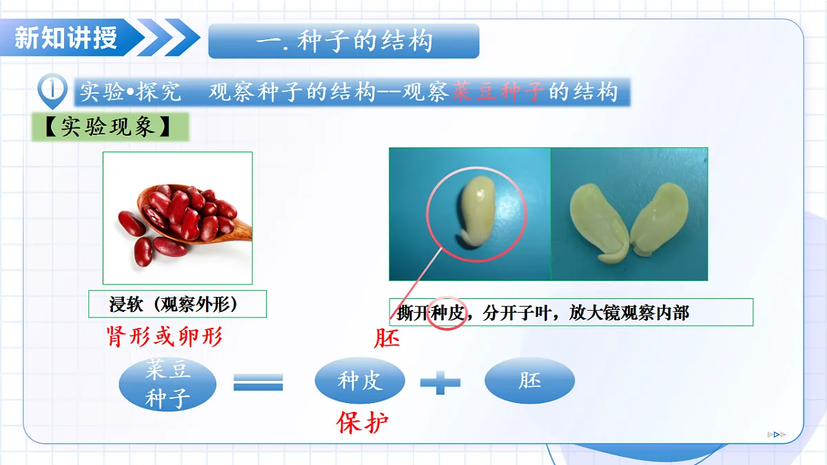 17288775第8页