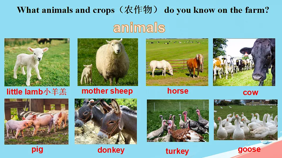 17289148第4页