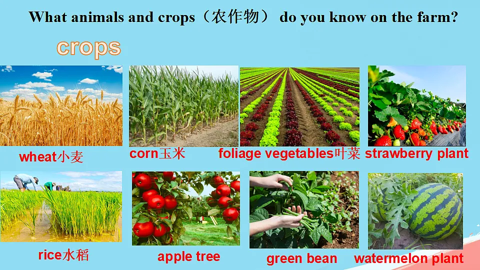 17289148第5页