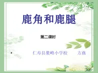 《鹿角和鹿腿》的課件