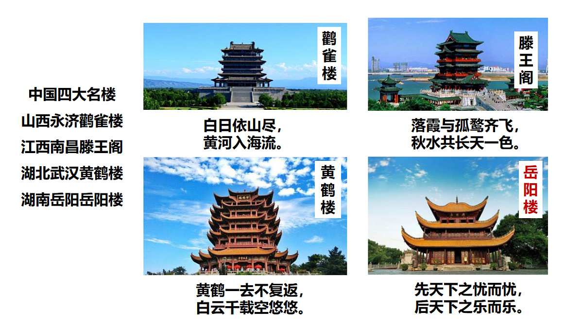 17290648第4页