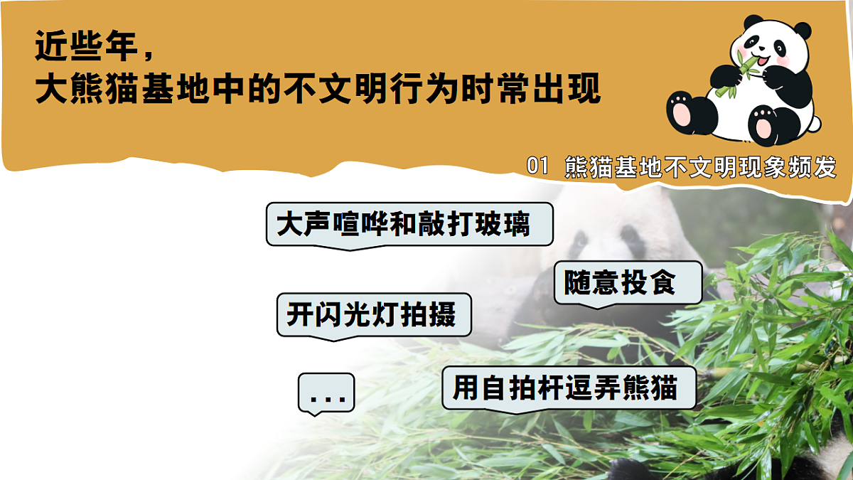 17291385第4页