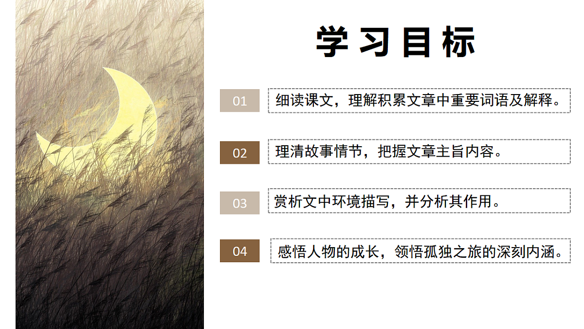 17291479第2页