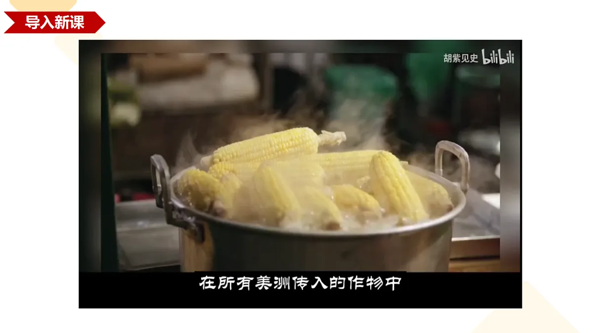 17291620第1页