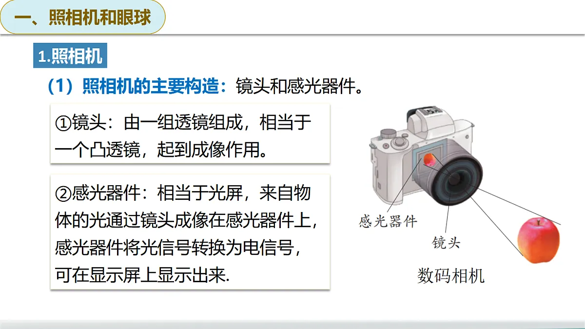 17291797第7页