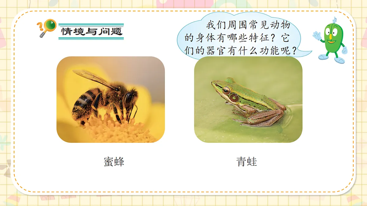 17292809第5页