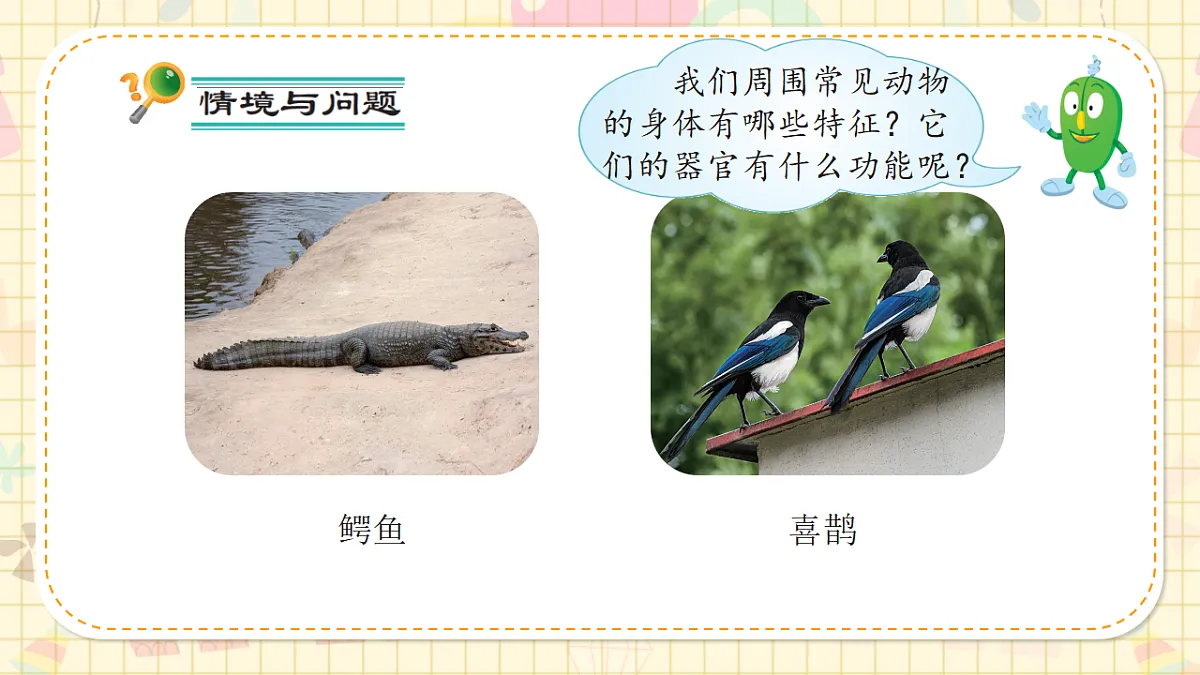 17292809第6页
