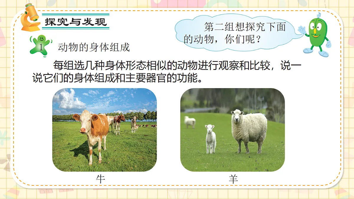 17292809第8页