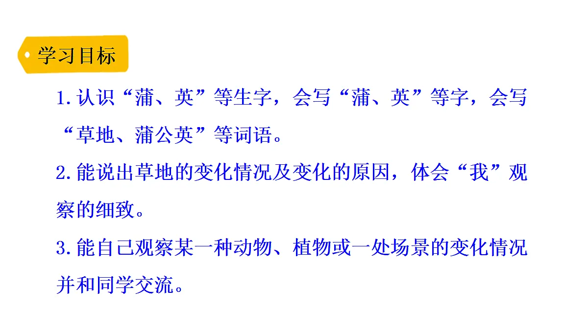 17292843第3页