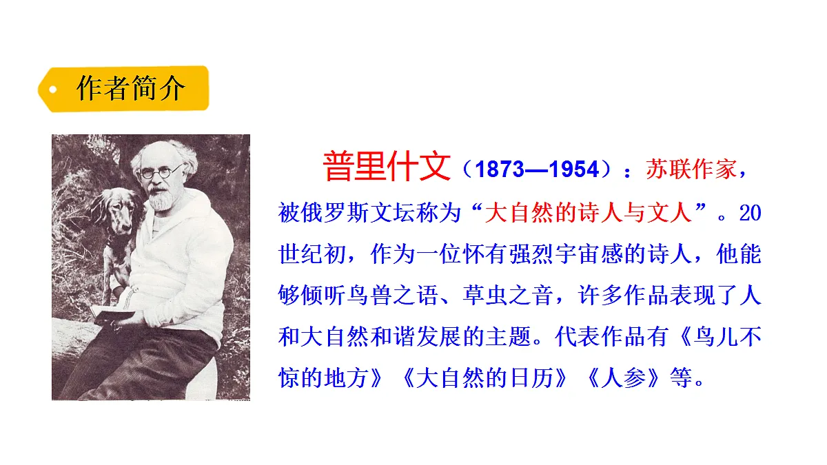 17292843第5页