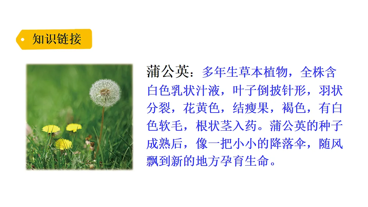 17292843第6页