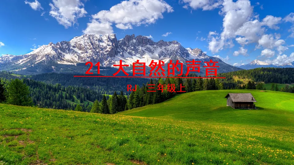 17292849第3页