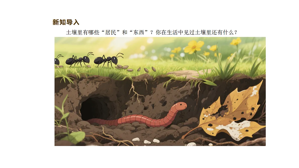 17292933第2页