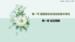 1.1細胞是生命活動的基本單位（教學(xué)課件）——高中生物學(xué)人教版（2019）必修一