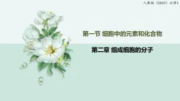 2.1細胞中的元素和化合物（教學(xué)課件）——高中生物學(xué)人教版（2019）必修一
