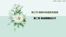 2.3細胞中的糖類和脂質(zhì)（教學(xué)課件）——高中生物學(xué)人教版（2019）必修一