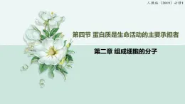 2.4蛋白質(zhì)是生命活動的主要承擔(dān)者（教學(xué)課件）——高中生物學(xué)人教版（2019）必修一