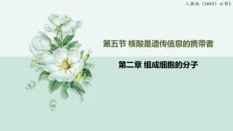 2.5核酸是遺傳信息的攜帶者（教學(xué)課件）——高中生物學(xué)人教版（2019）必修一