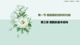 3.1細胞膜的結(jié)構(gòu)和功能（教學(xué)課件）——高中生物學(xué)人教版（2019）必修一