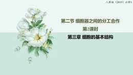 3.2細胞器之間的分工合作-第2課時（教學(xué)課件）——高中生物學(xué)人教版（2019）必修一