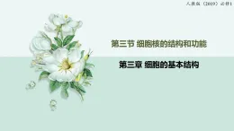 3.3細胞核的結(jié)構(gòu)和功能（教學(xué)課件）——高中生物學(xué)人教版（2019）必修一