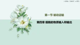 4.1被動運輸（教學(xué)課件）——高中生物學(xué)人教版（2019）必修一