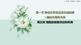 5.1.1酶的作用和本質(zhì)（教學(xué)課件）——高中生物學(xué)人教版（2019）必修一