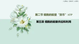 5.2細胞的能量“貨幣”ATP（教學(xué)課件）——高中生物學(xué)人教版（2019）必修一